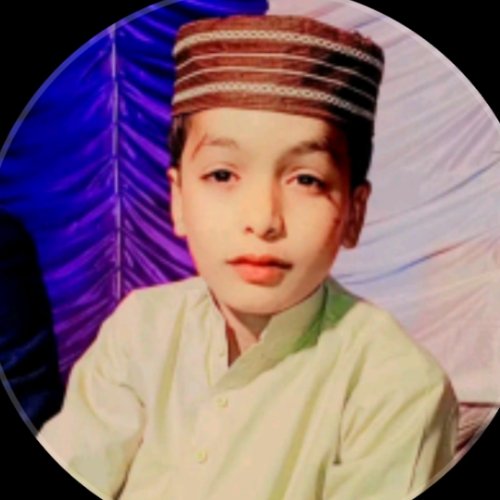 محمد اویس قادری مدنی